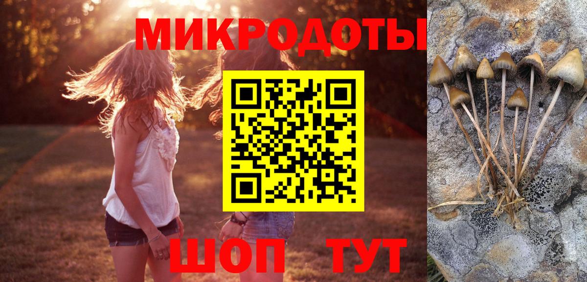 Галлюциногенные грибы GOLDEN TEACHER  где купить наркотик  Александров  Вход с VPN 