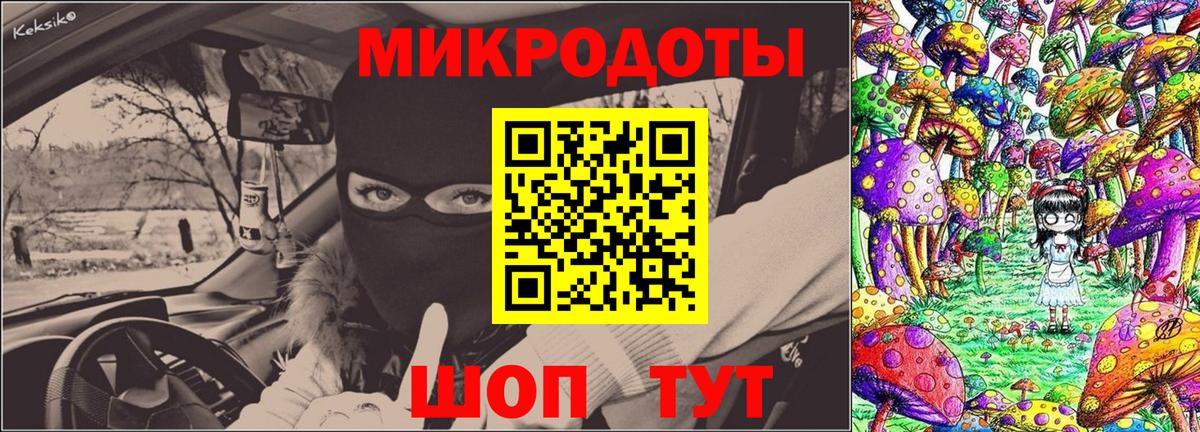 Галлюциногенные грибы Psilocybe Александров